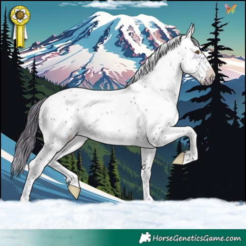 Horse Color:Buckskin Dun Sabino Frame 