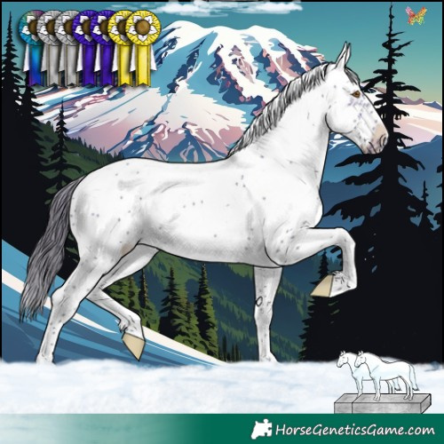 Horse Color:Buckskin Dun Sabino Frame 