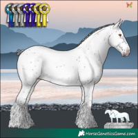 Horse Color:Buckskin Dun Sabino Frame 