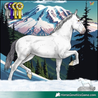 Horse Color:Buckskin Dun Sabino Frame