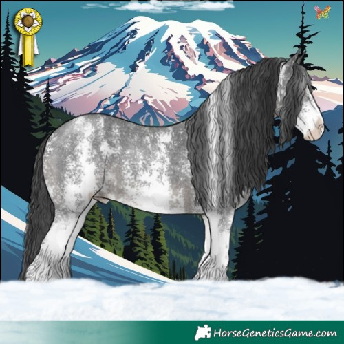 Horse Color:Black Sabino 