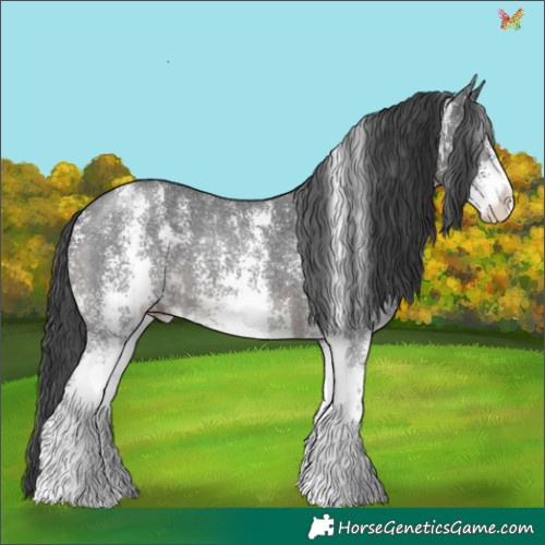 Horse Color:Black Sabino