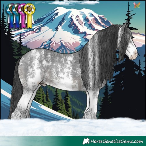 Horse Color:Black Sabino 