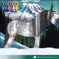 Horse Color:Black Sabino