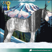 Horse Color:Black Sabino