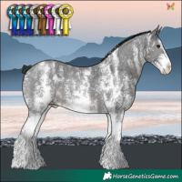 Horse Color:Black Sabino 