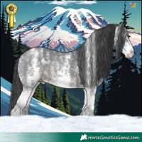 Horse Color:Black Sabino 