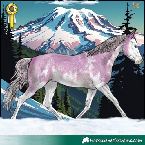 Horse Color:Watercolor Chocolate Palomino Sabino Splash