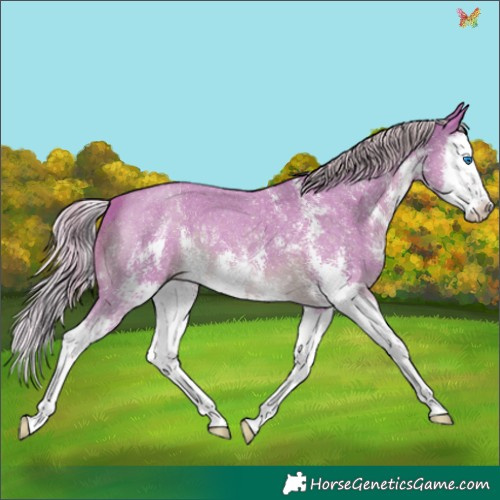 Horse Color:Watercolor Chocolate Palomino Sabino Splash