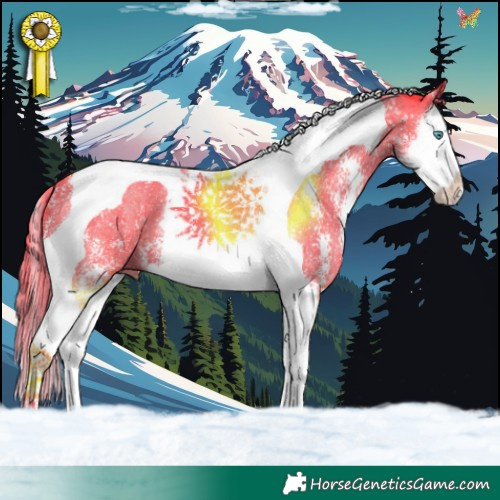 Horse Color:Watercolor Liver Chestnut Sabino Splash Tobiano 