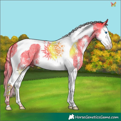 Horse Color:Watercolor Liver Chestnut Sabino Splash Tobiano