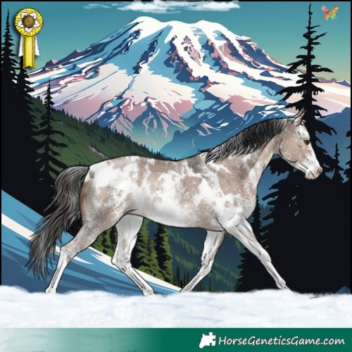 Horse Color:White Spotted Liver Red Dun Sabino Rabicano