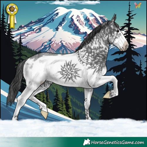 Horse Color:Black Sabino Frame 