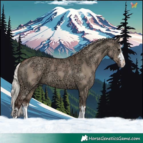 Horse Color:Silver Grullo Ice