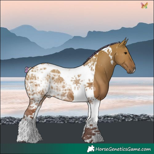 Horse Color:Painted Silver Grullo Ice Tobiano 