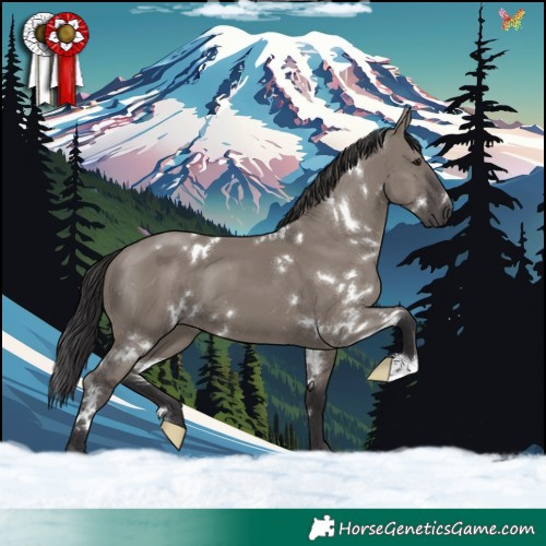 Horse Color:White Spotted Smoky Grullo 