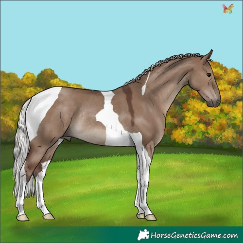 Horse Color:Silver Grullo Tobiano Rabicano