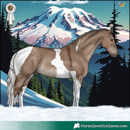 Horse Color:Silver Grullo Tobiano Rabicano 