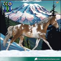 Horse Color:White Spotted Chocolate Palomino Splash Tobiano 