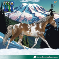 Horse Color:White Spotted Chocolate Palomino Splash Tobiano