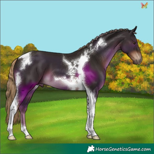 Horse Color:Liver Chestnut Tobiano 