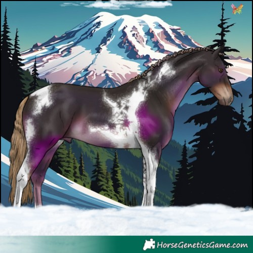 Horse Color:Liver Chestnut Tobiano 