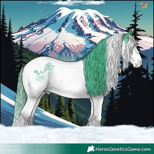 Horse Color:Watercolor White Spotted Black Ice Splash Tobiano 