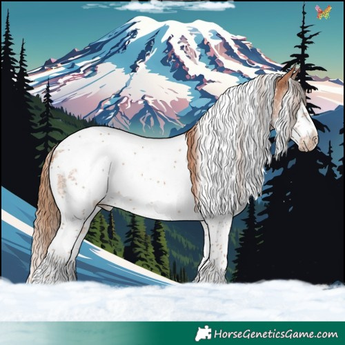 Horse Color:White Spotted Chestnut Splash Tobiano Frame 