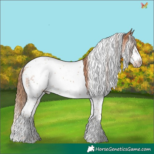 Horse Color:White Spotted Chestnut Splash Tobiano Frame 