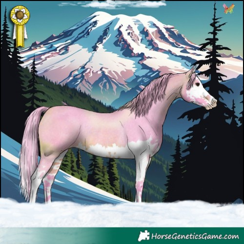 Horse Color:Watercolor Bay Splash Appaloosa Rabicano 