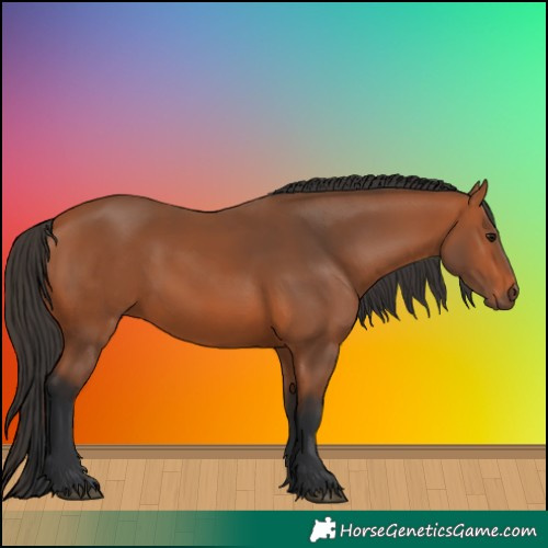 Horse Color:Bay 