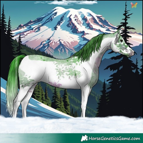 Horse Color:Watercolor Brown Roan Splash Frame 