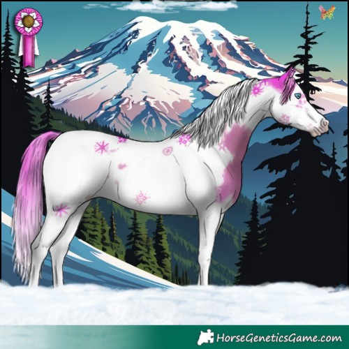 Horse Color:Watercolor Liver Chestnut Splash Tobiano Frame 