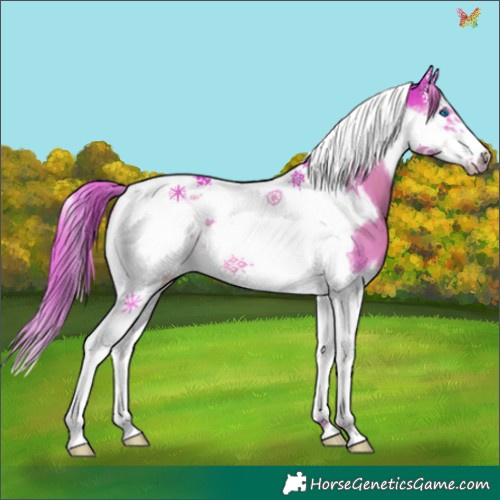 Horse Color:Watercolor Liver Chestnut Splash Tobiano Frame 