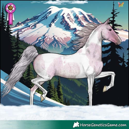 Horse Color:Watercolor Silver Brown Roan Tobiano 