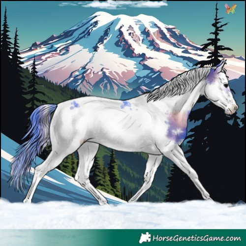 Horse Color:Watercolor Brown Onyx Splash Tobiano Frame 