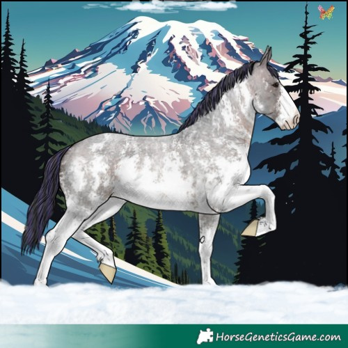 Horse Color:Painted Brown Roan Sabino 