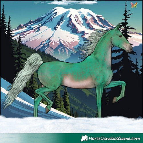 Horse Color:Watercolor Silver Brown 