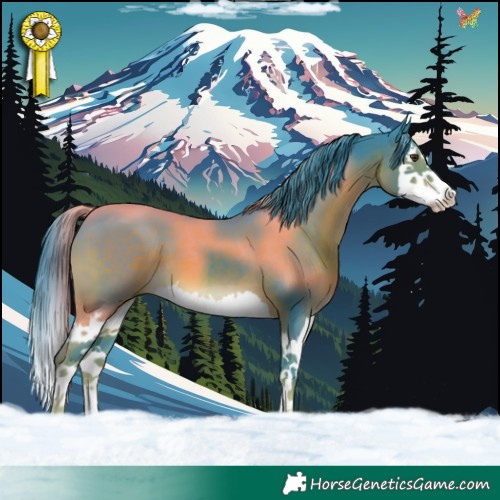 Horse Color:Watercolor Liver Chestnut Splash 