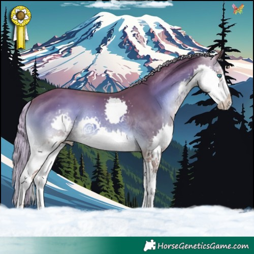 Horse Color:Chocolate Palomino Onyx Splash 