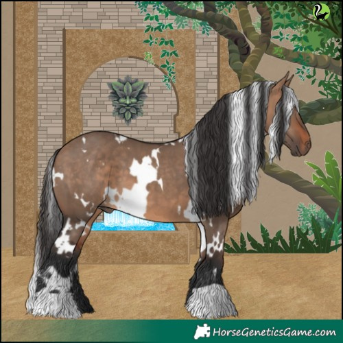 Horse Color:White Spotted Bay Dun 