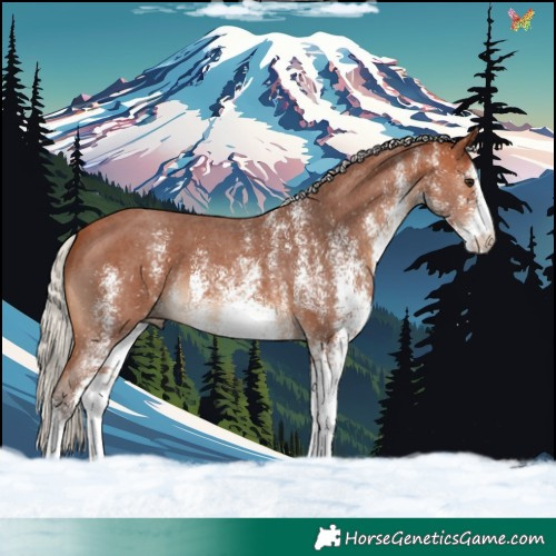 Horse Color:White Spotted Silver Bay 