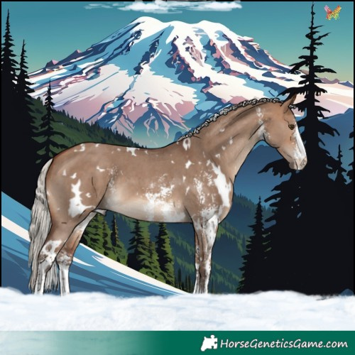 Horse Color:White Spotted Silver Brown Dun Sabino 