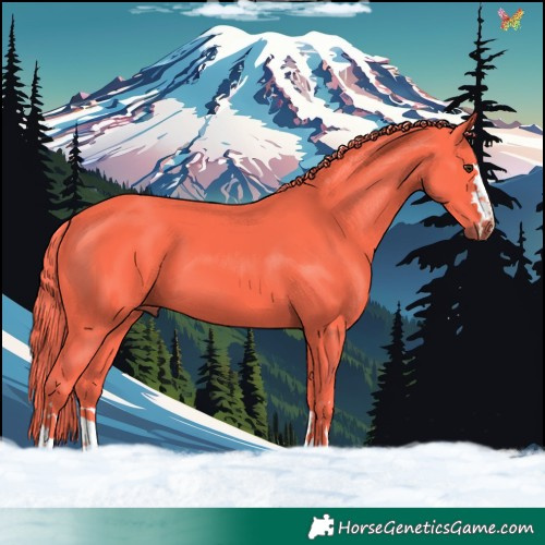 Horse Color:Watercolor Liver Chestnut 