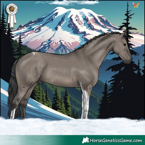 Horse Color:Grullo Tobiano 