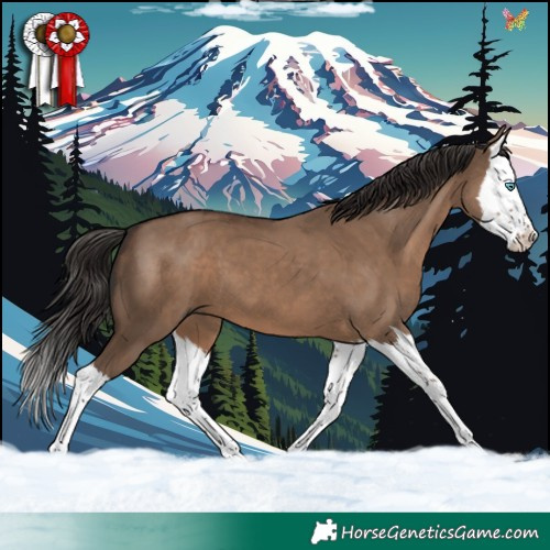 Horse Color:Liver Red Dun Splash 