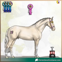 Horse Color:Gold Champagne Pearl Mushroom Sabino Tobiano 