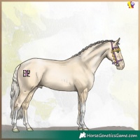 Horse Color:Gold Champagne Pearl Mushroom Sabino Tobiano 