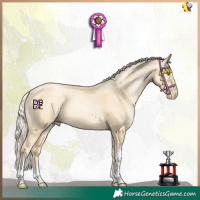 Horse Color:Gold Champagne Pearl Mushroom Sabino Tobiano 