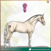 Horse Color:Gold Champagne Pearl Mushroom Sabino Tobiano 